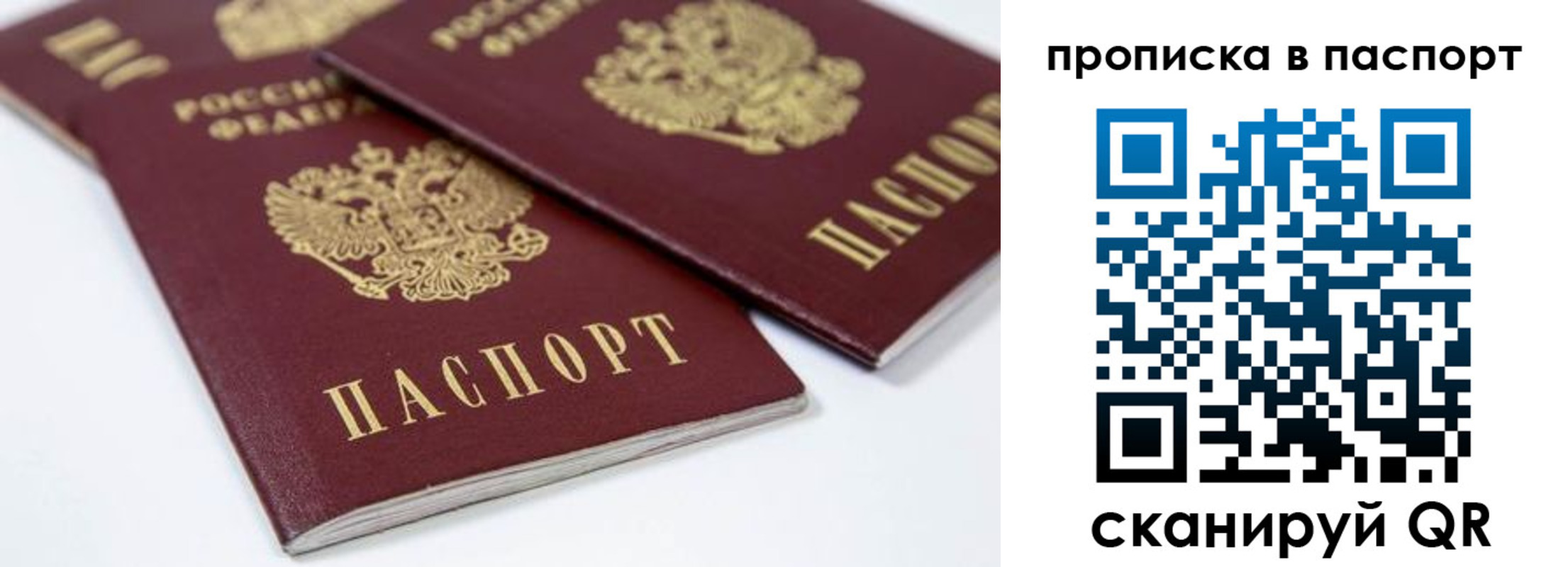 временная регистрация надежно в Ярославле